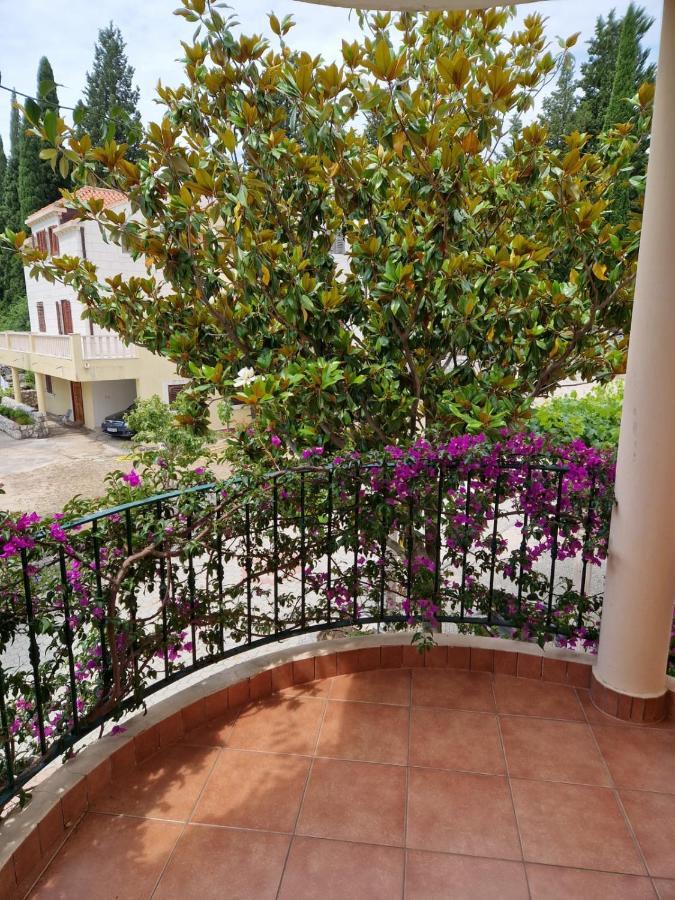 Villa Lukic Apartments Slano Exterior foto